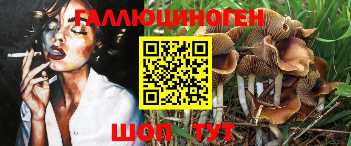 наркошоп  Вход с VPN  Энгельс  Галлюциногенные грибы Cubensis 