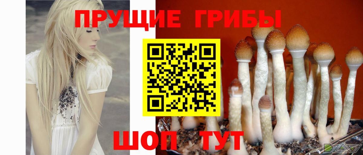 Псилоцибиновые грибы прущие грибы Энгельс